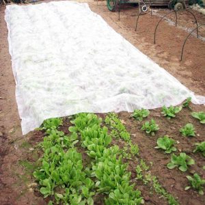 Spinvlies agrarische afdekfolie ter bescherming van gewassen